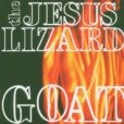 jesus-lizard-goat