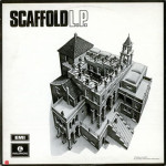 scaffold