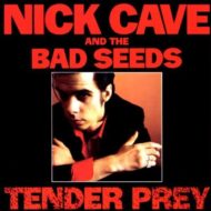 nick-cave-tender-prey